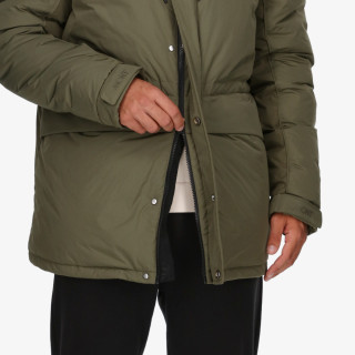 Mont DENALI 