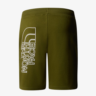 The North Face Graphic 