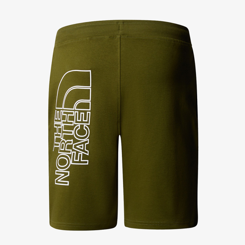 The North Face Graphic 