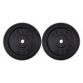 Ring Sport SET 2X15 KG LIVENI 